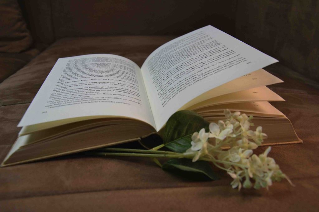 Bild von einem aufgeschlagenen Buch auf einem Sofa mit einer Blume im Vordergrund. 